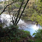 DSCN3756