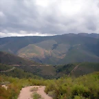 DSCN6197