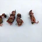 IMG_20190608_072226