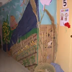DSCN6800