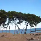 una playa muy bonita catalana