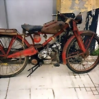 Guzzi