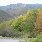 DSCN6187