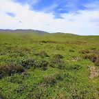 32-Imagen 025-004
