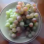 uvas de huerta1