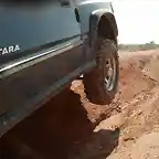 vitara levantando pata