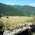 DSCN4834