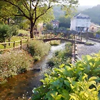 DSCN9300