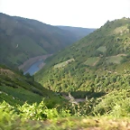 DSCN1880
