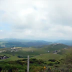 DSCN5894