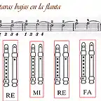 1 variacion flauta