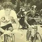 Perico-Tour1983-Maillot Blanco-Anastasio Greciano