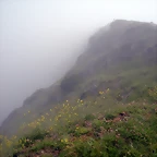DSCN6321