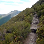 DSCN9275