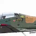 Tucano 1