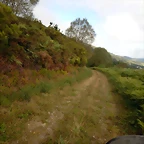 DSCN6868