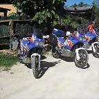 2F562F8CE9295601DECB365601845A