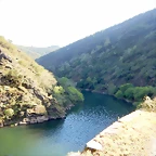 DSCN4696
