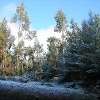 DSCN7482