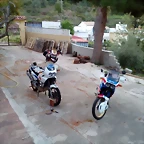 Pascuas 003