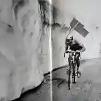 Anquetil-Giro-Gavia
