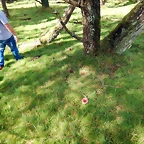 DSCN0583