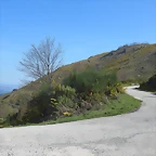 11-IMG_5668