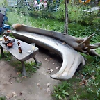 DSCN8176