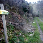 DSCN2642
