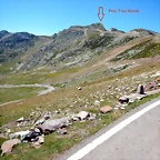 DSCN8447'2