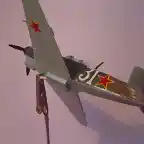 Yak9d11