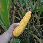 DSC01469