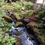DSCN8422