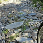 023-IMG_6616