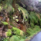 DSCN8382