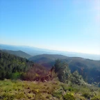 DSCN9035