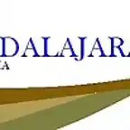 logo propuesta 2