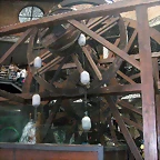 DSCN4076