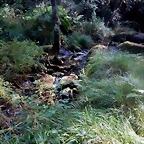 DSCN8470