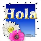 Hola.Flores