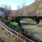 DSCN7731