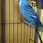 IMG_20170428_155839024