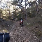 49