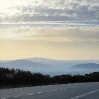 01-IMG_3464