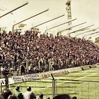 colorized-image (2)