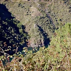 DSCN1461