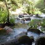DSCN2801