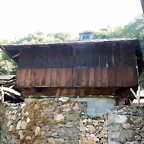 DSCN7006