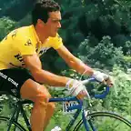 TOUR 1981-HINAULT-