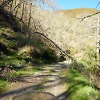 DSCN0093